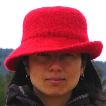teri shaw, hand knit and fulled hat