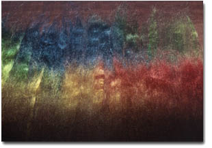 First layer of silk layed out first layer of silk layed out
