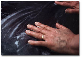 applying the adhesive