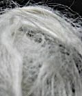 natural silk in sericin