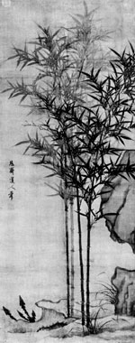 bamboo