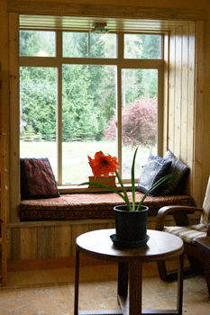 The window seat