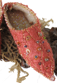 Fairy shoe by Robin Reid