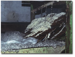 Processing Silk: degumming silk fibres