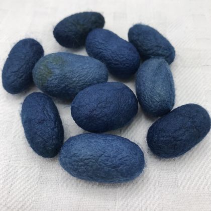 Silk Cocoons - Indigo (natural dyes): click to enlarge