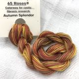      65 Roses® 'Autumn Splendor' - Thread, Shinju (#5 silk perle)