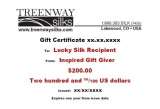 Gift Certificate-$200