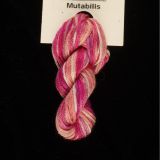      65 Roses® 'Mutablis - Thread, Harmony (6-strand silk floss)