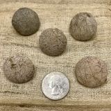 Buttons made from Wild Tasar Silk Cocoons