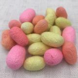 A1 Quality Colored (not dyed) Bombyx Silk Cocoons