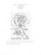 65 Roses® Chart "A Rose by Any Other Name"