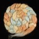 Salt Spring Island 'Rainbow Trout' - Tussah Silk Roving/Sliver 25g