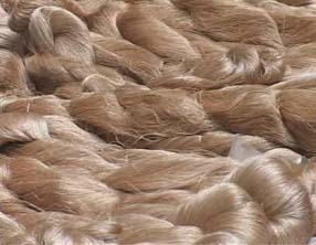 muga silk fibers