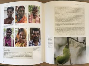 In Search of Wild Silk (pages 92-93) by Karen Selk