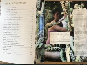 In Search of Wild Silk (Table of Contents) by Karen Selk
