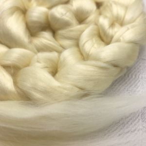 Nistari: naturally yellow bombyx silk