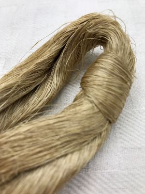 Reeled Muga silk skein-skein is knotted to keep it organized until ready to use
