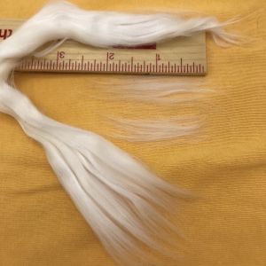 Undyed Silk/Cotton Sliver--you can see the short fiber length and a bit of its lovely sheen.
