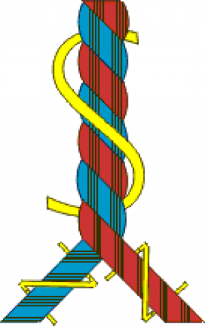 Diagram of a 2-ply yarn, courtesy of SwiCoFil.com  The Z-spun singles and S-spun ply is how Treenway Silks' 2-ply spun silk yarns are made